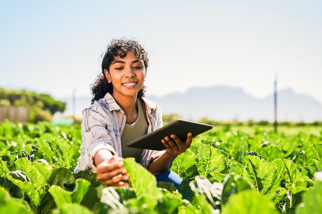 A woman in a farm crop with a tablet