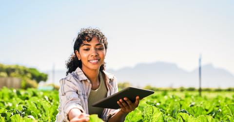 A woman in a farm crop with a tablet