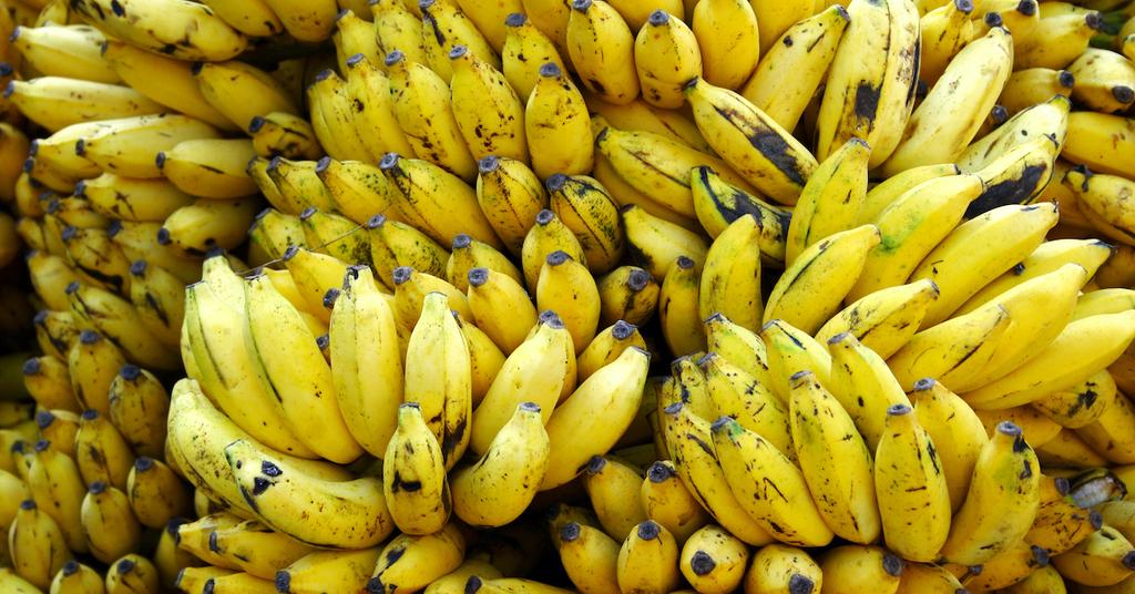 15 PlantBased Egg Substitutes to Try in 2021