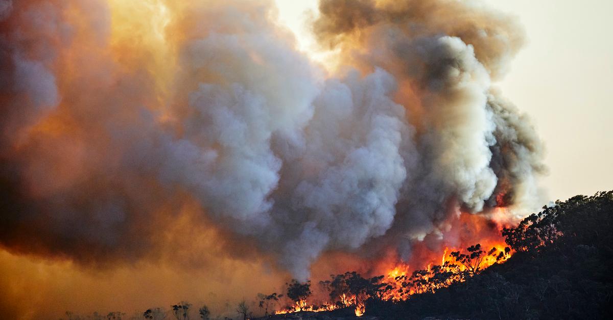 australia fire gliders