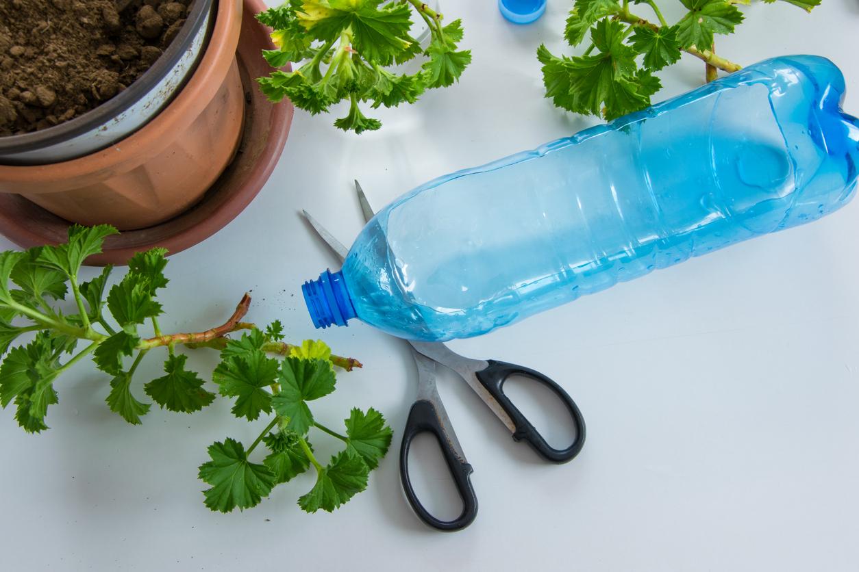 Recycled Plastic Bottle Garden DIY