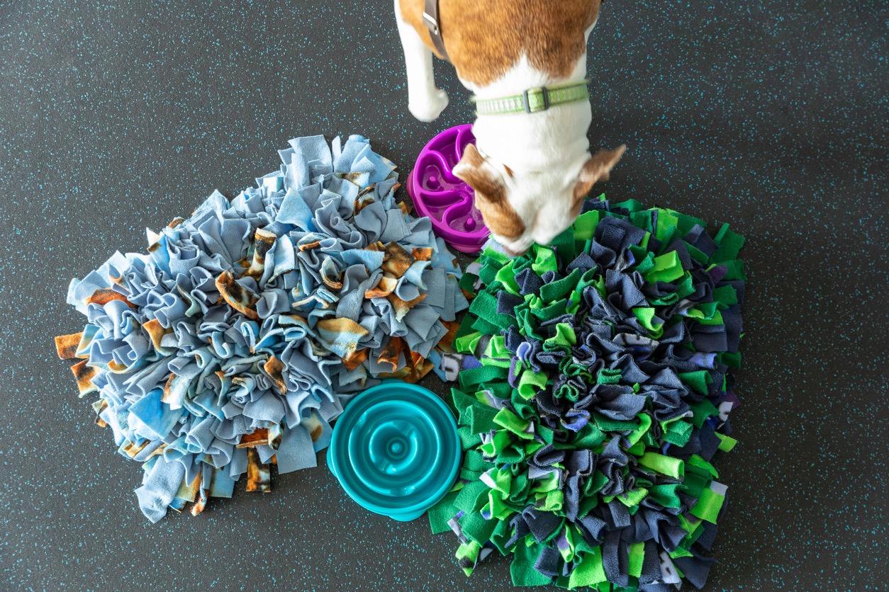 How to Make a DIY Snuffle Mat