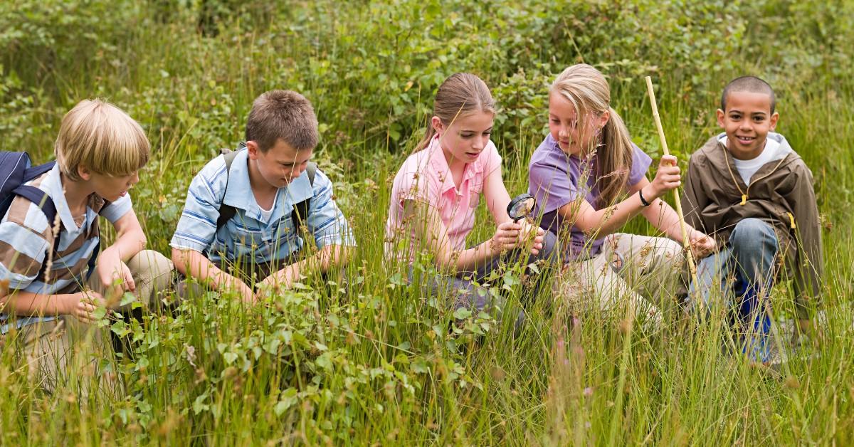 Children learn about invasive species by visiting a meadow