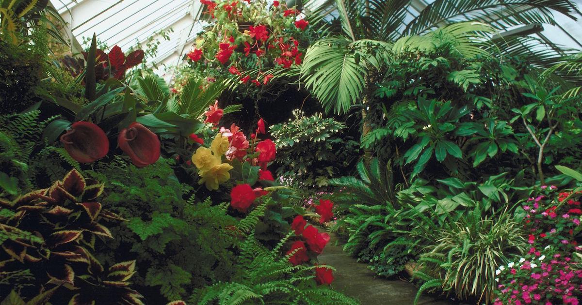 vertical vegetable gardening