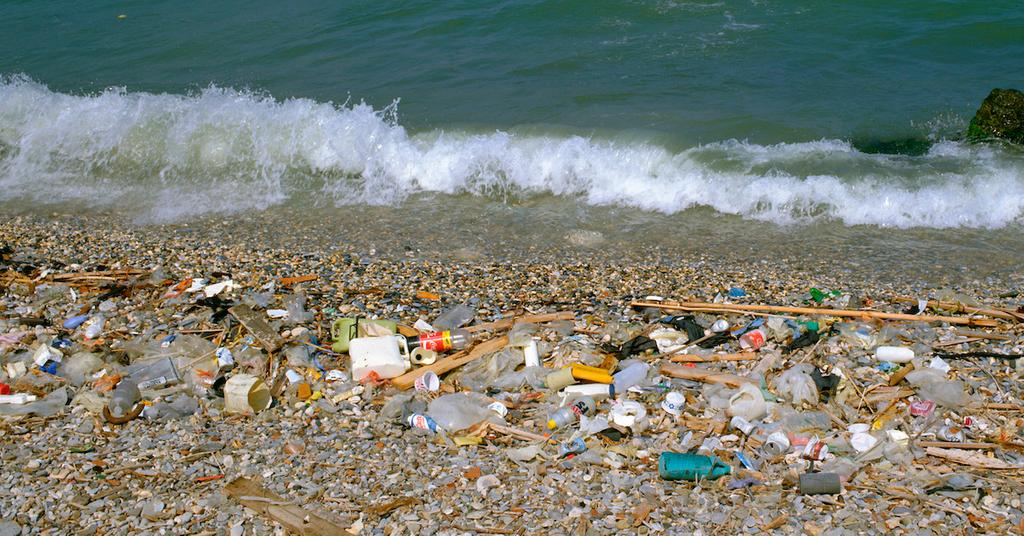 Teamseas By Mrbeast And Mark Rober Are Cleaning Up Beaches Oceans