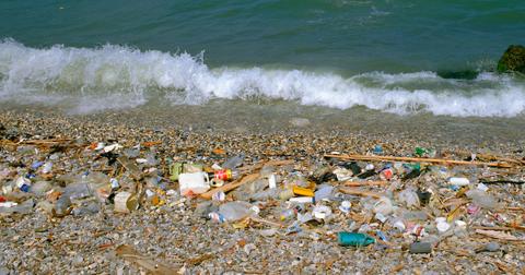 Team Seas Ocean Cleanup with MrBeast