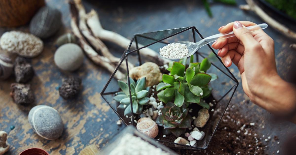 TERRARIUM  Garden Pocket