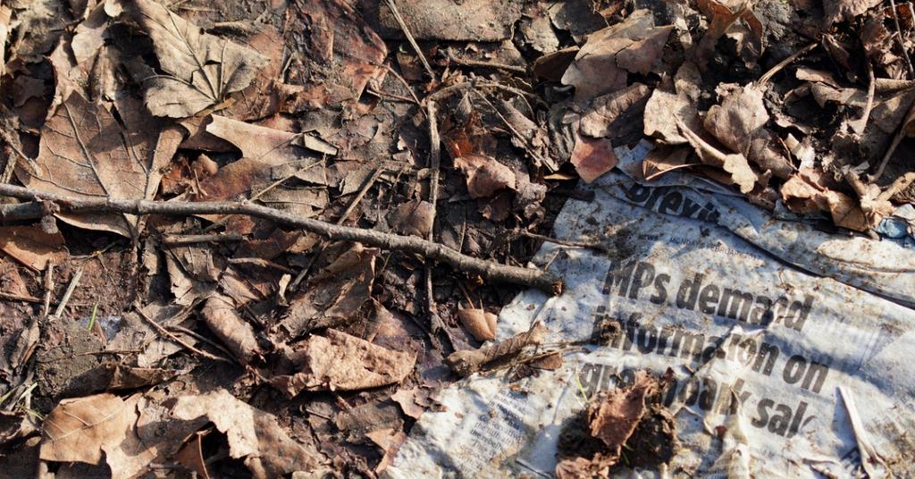 Can You Compost Paper with Ink?