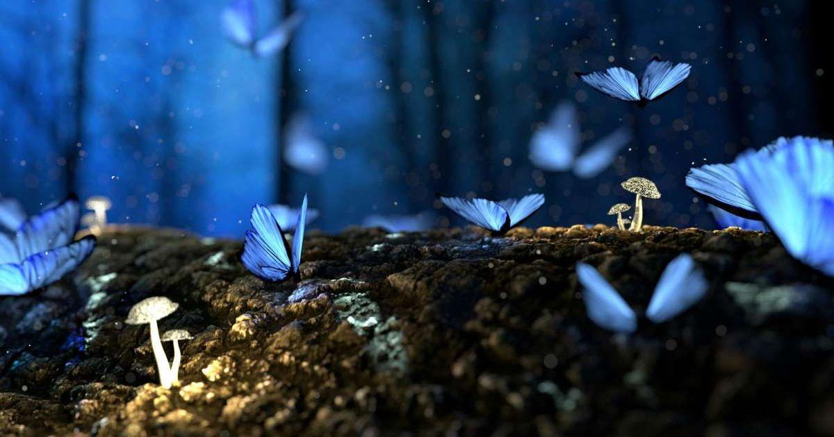 Close-up Photo of Glowing Blue Butterflies. (Representative Cover Image Source: Pexels | Pixabay)