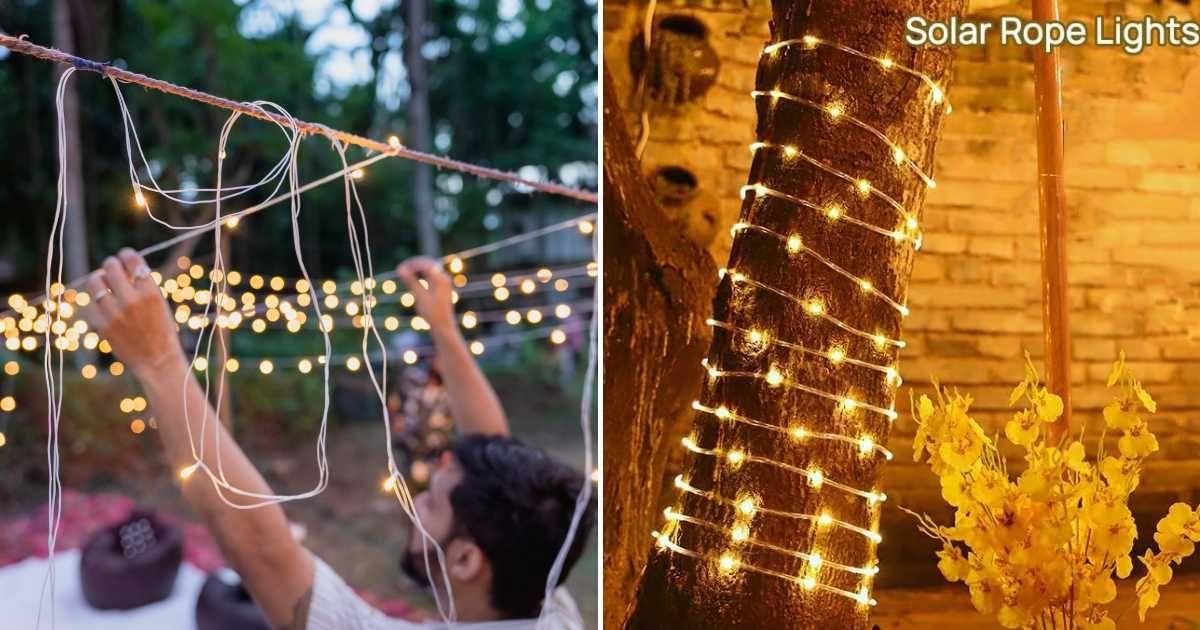 (L) A garden lit up with LED lighting. (Representative Cover Image Source: Getty Images | Tashdique Mehtaj Ahmed); (R) A tree trunk wrapped in solar-powered rope lights. (Cover Image Source: Amazon)