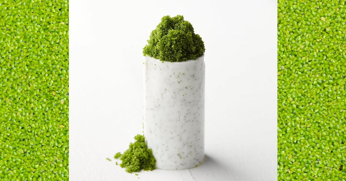 Wanna Greens Features the World's Smallest Vegetable