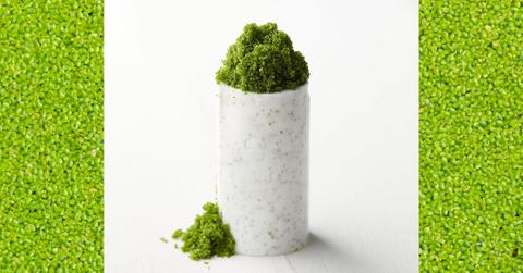 Backround image of water lentils with an image of a vessel full of water lentils from Wanna Greens layered on top