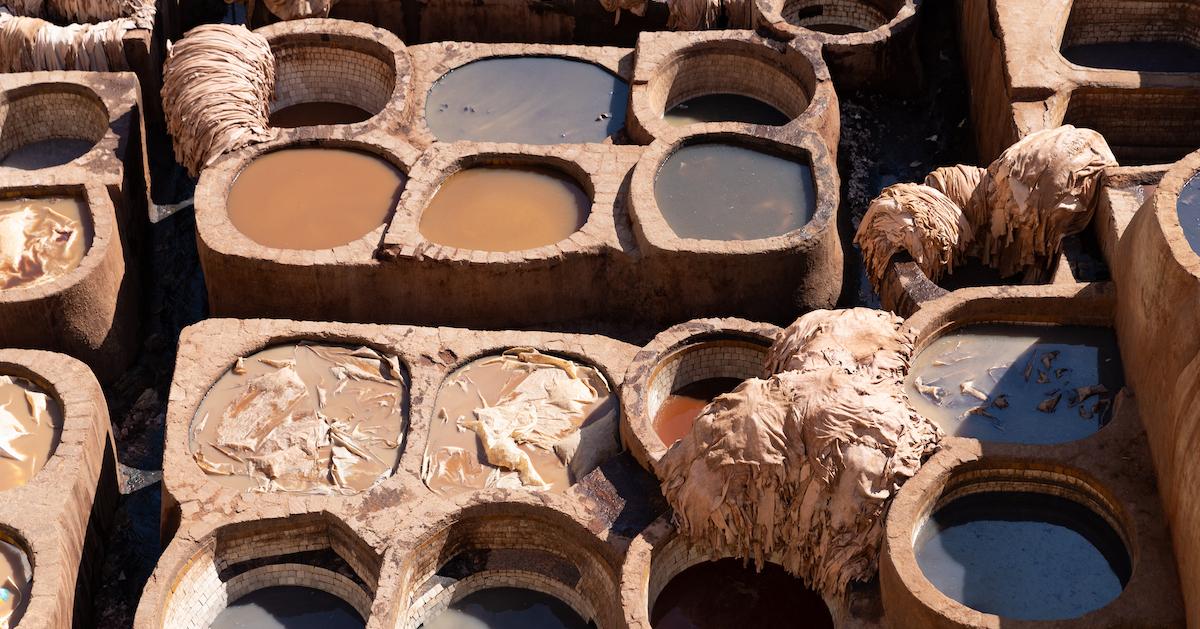 Is Leather Bad For The Environment New Report Investigates Industry s 