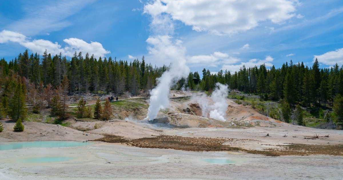 General views of Valentine Geyser and Ledge Geyser in the Norris Geyser Basin at Yellowstone National Park (Cover Image Source: Getty Images | Photo by AaronP/Bauer-Griffin / Contributor)