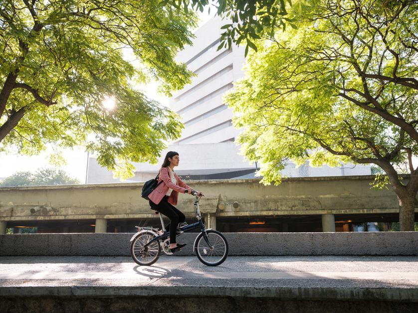 A woman rides her bike in a city between two trees. 