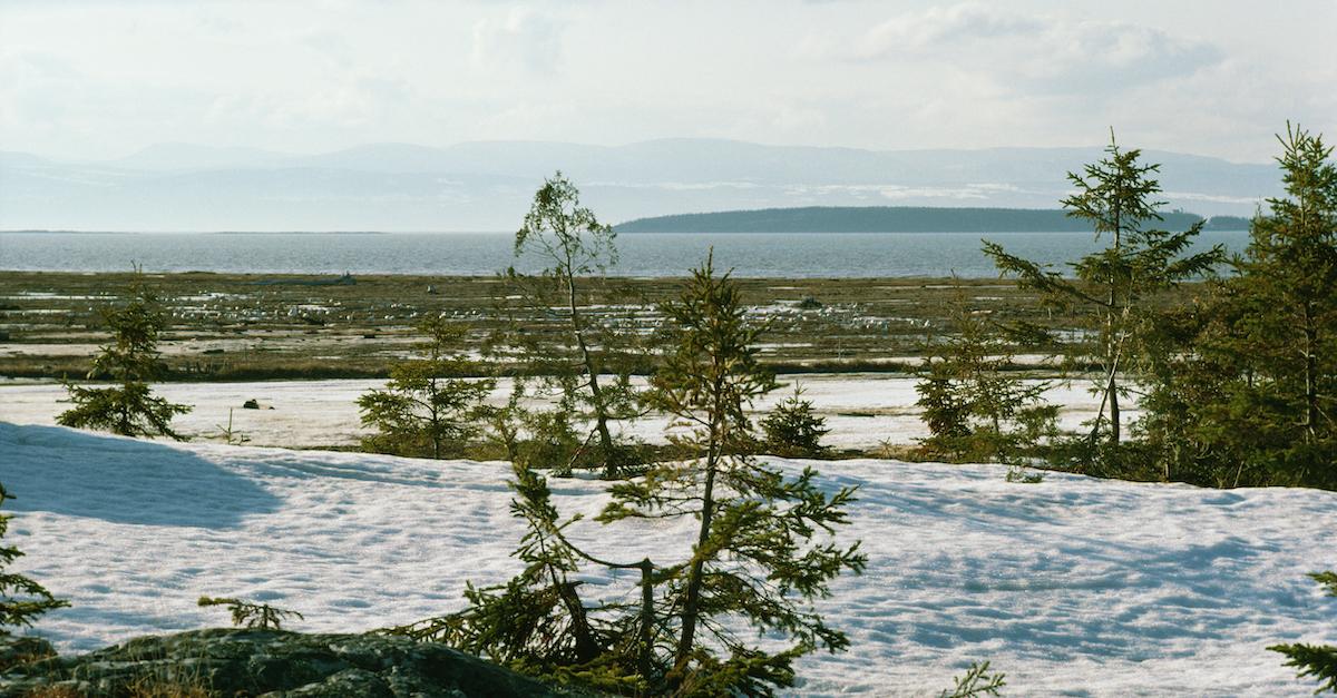 The Siberian Tundra Could Succumb to Climate Change by 2050, Research Says - Green Matters