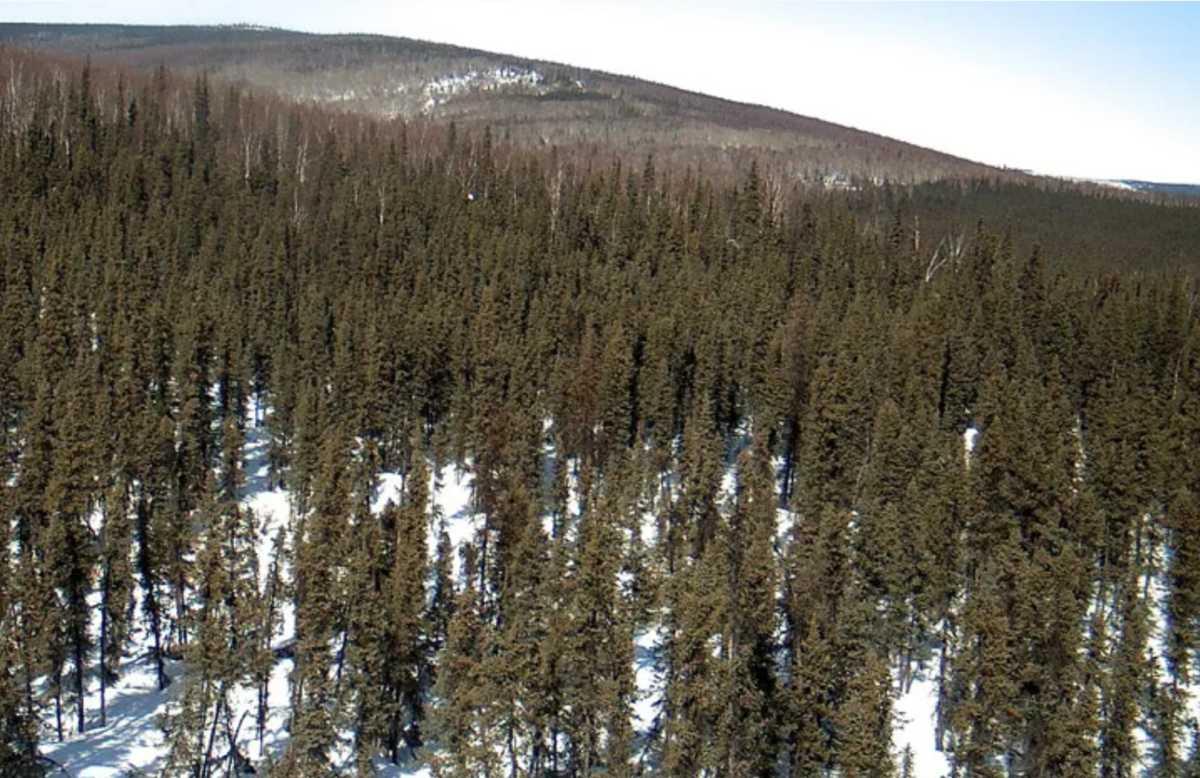 pn/faeb e ac dcfacbd