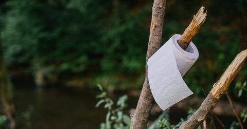 Photo of a toilet paper roll placed on a tree branch in a wooded environment