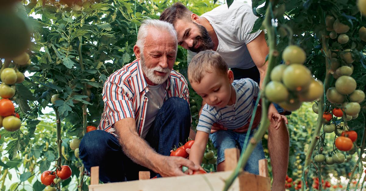 is gardening good for your soul