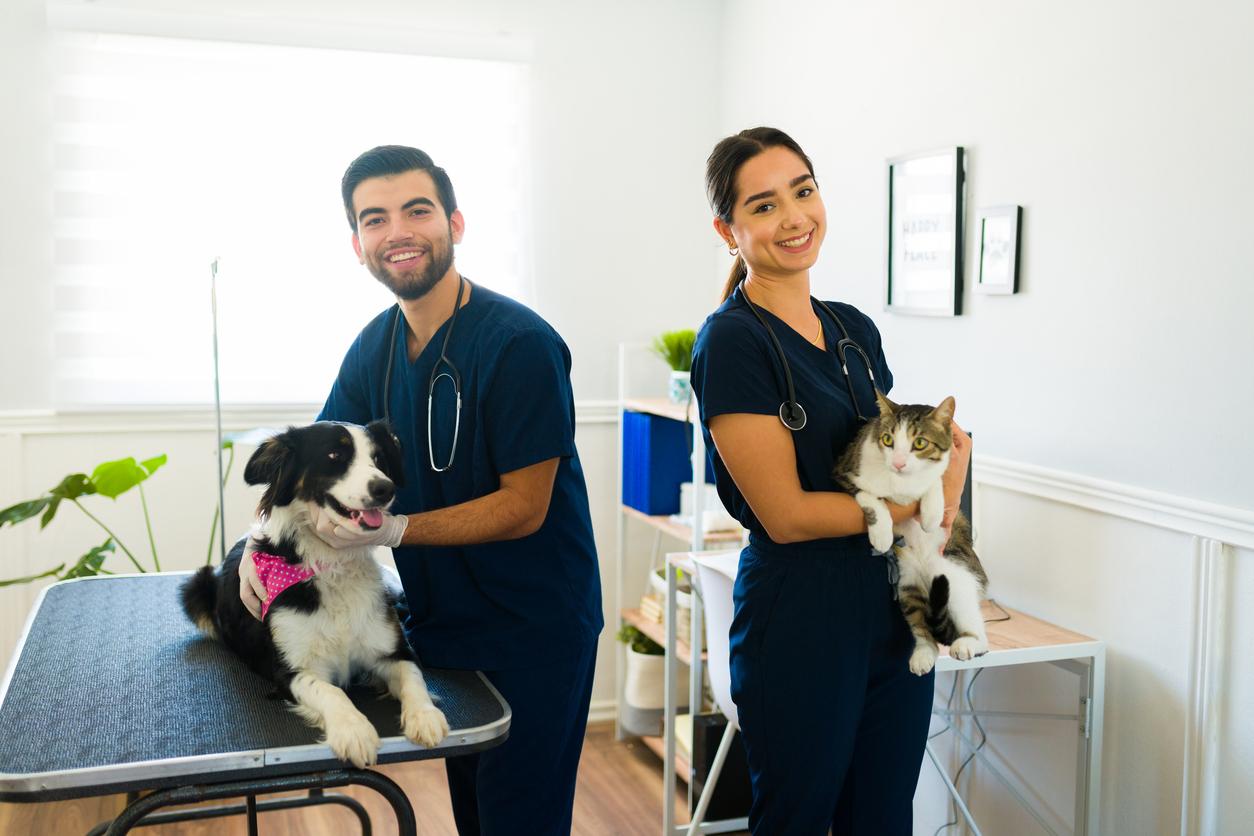 A smiling male veterinarian holds a black and white dog with gloved hands next to a smiling female veterinarian holding a cat.