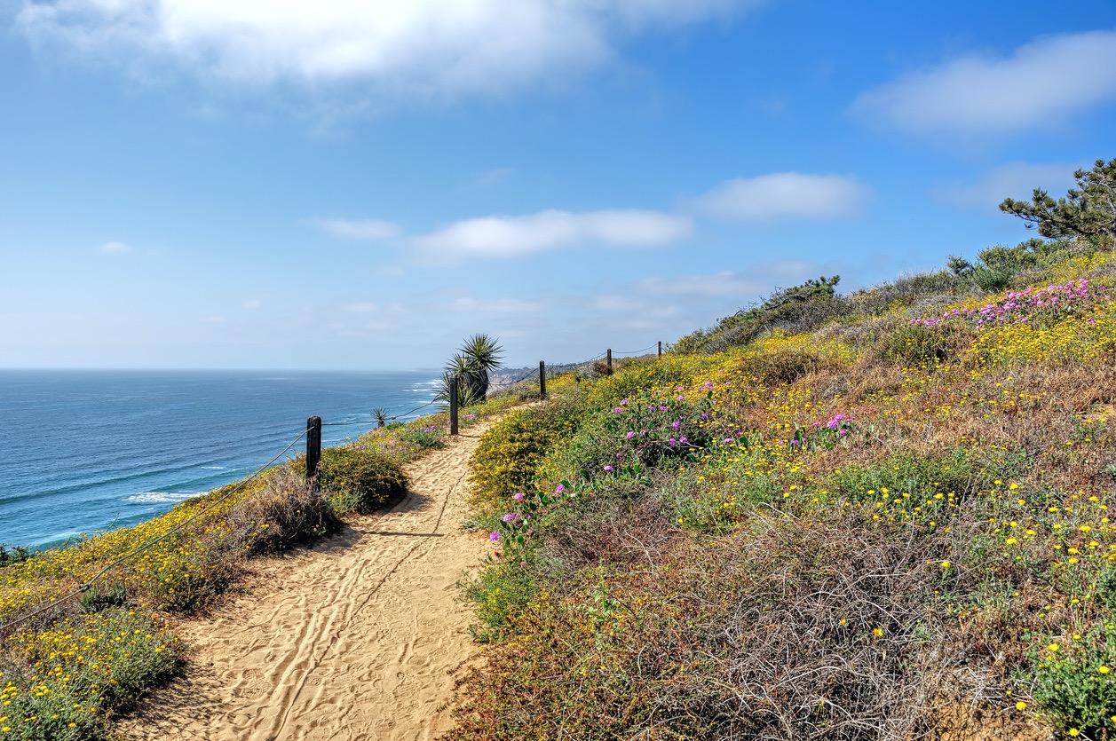 Torrey Pines Beach Trail