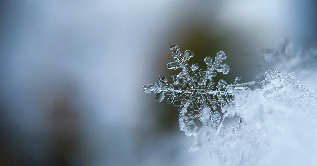 A closeup of a single snowflake 