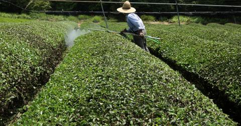 glyphosate data states