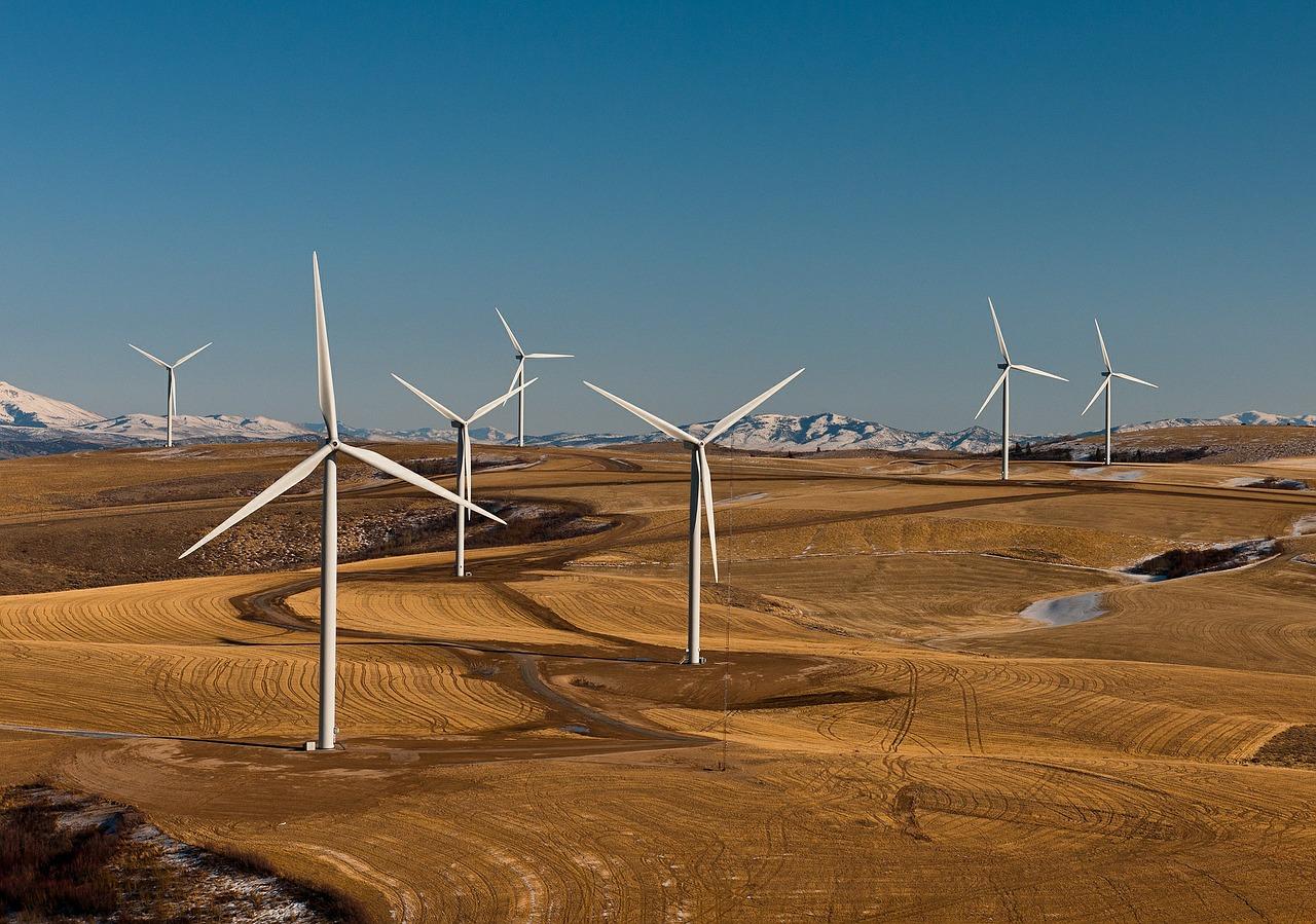 wind turbine farm map