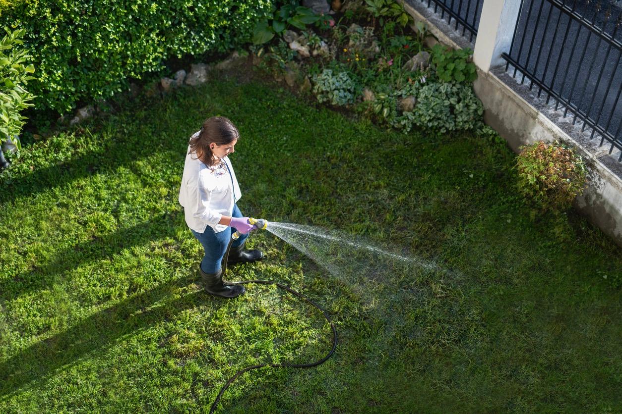 Person seen watering lawn from higher viewpoint