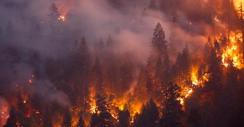 Wildfire facts the experts use to keep themselves prepared