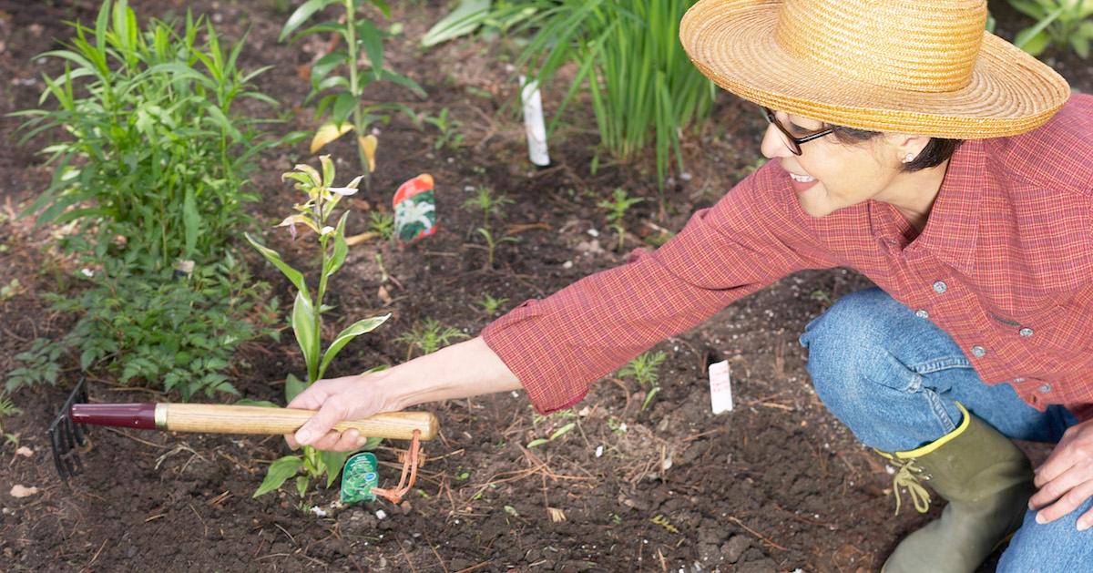 Woman planting