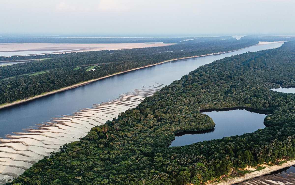 pn/bf dbb ef b edcefe