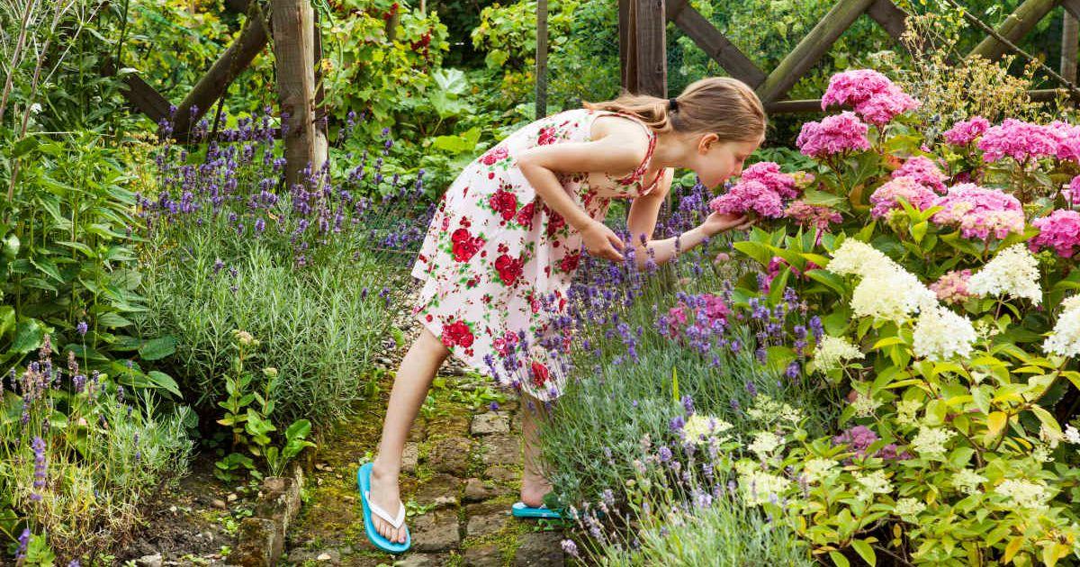 Girl smells hortentia flower in a sensory garden (Representative Cover Image Source: Getty Images | Betsie Van der Meer)