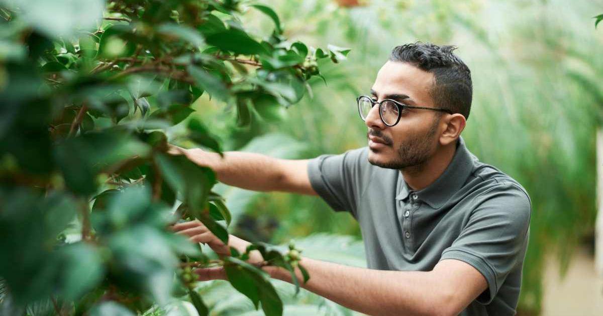 A man is checking out an unknown invasive plant in the garden. (Representative Cover Image Source: Pexels | Fauxels)