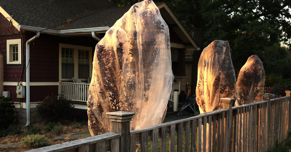 Tree netting for cicadas