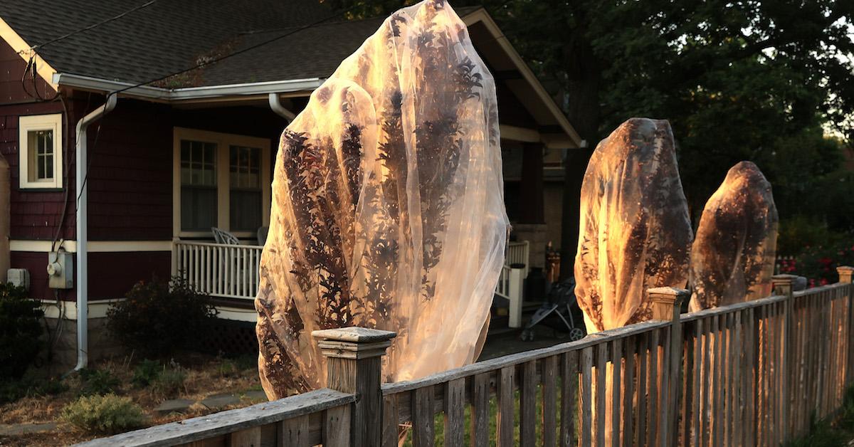 Is Tree Netting a Good Way to Repel Cicadas?