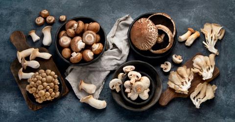 A large variety of raw mushrooms in bowls, on a platter, and scattered on a slate gray surface.