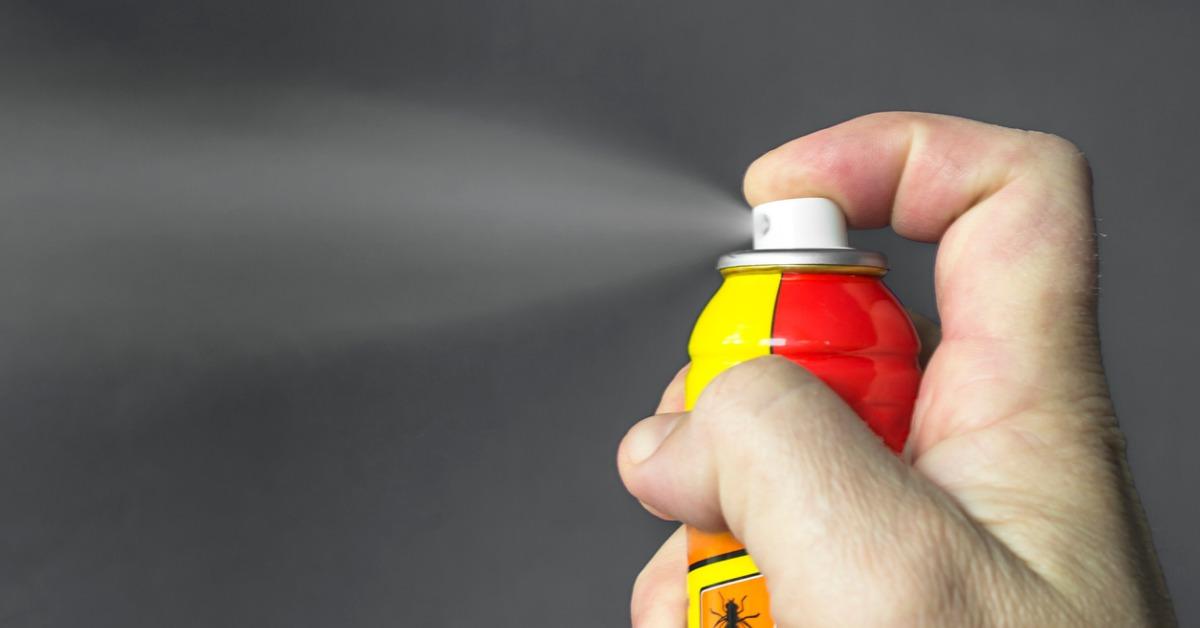 What Are the Best Indoor Fly Sprays?