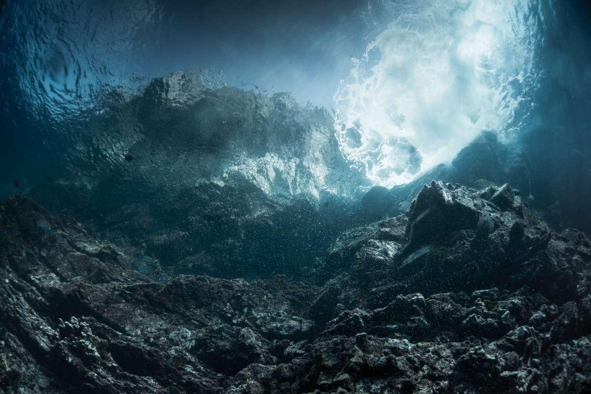 pn/bf fc f ada faabf