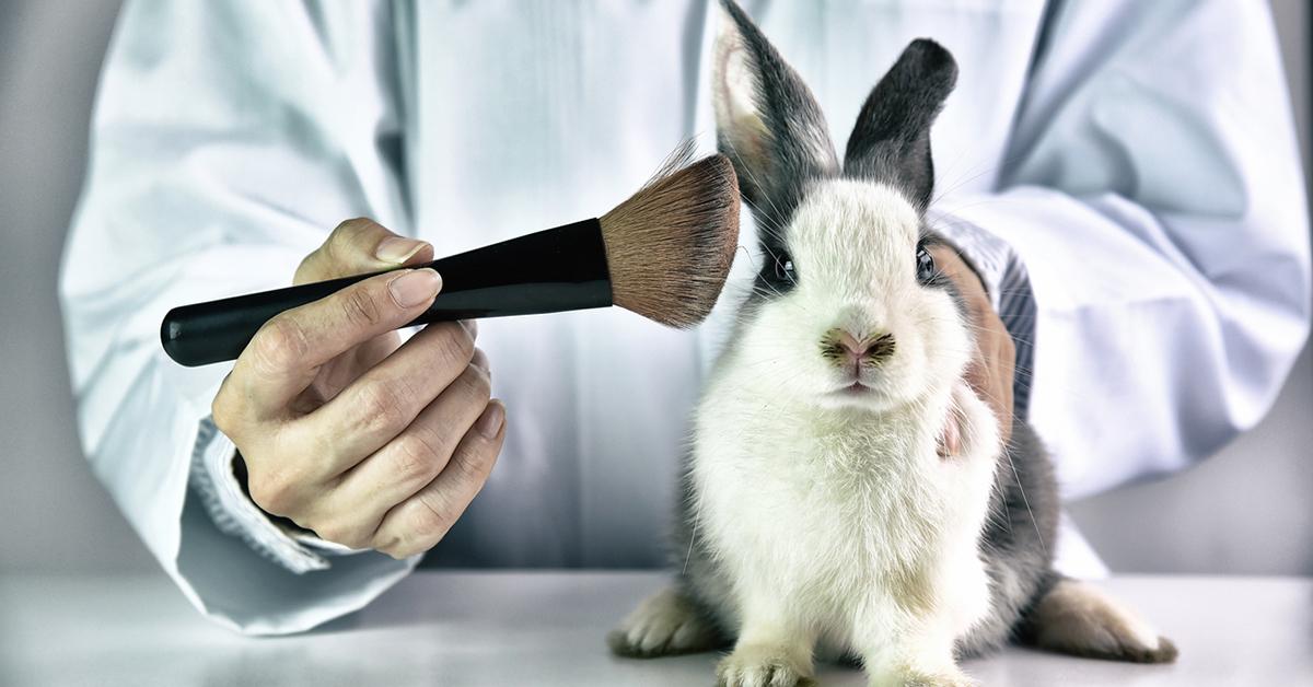 What Are Cruelty Free Products Tested On