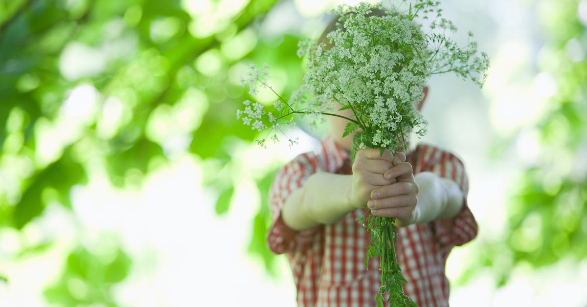 Small child with a bouquet of flowers facing the camera.