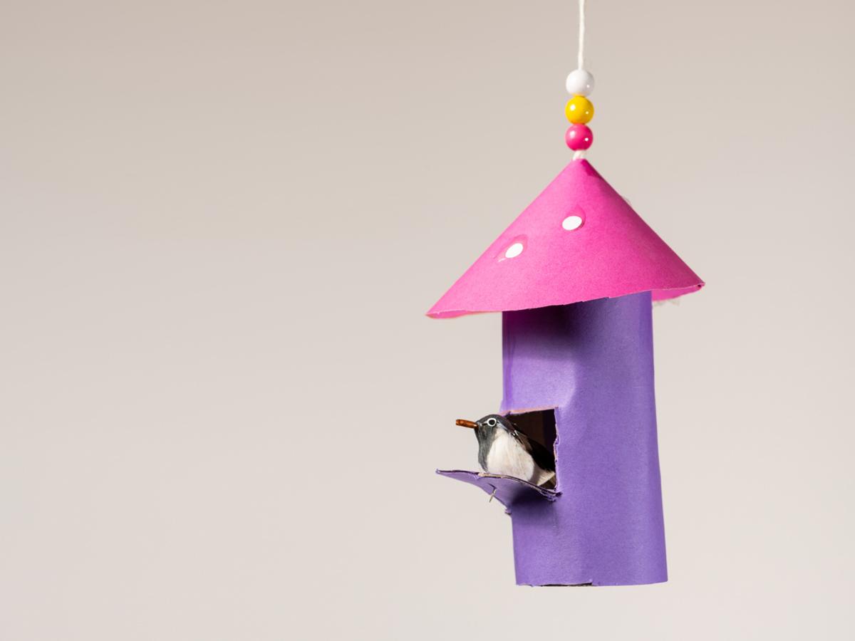 upcycle toilet paper bird feeder