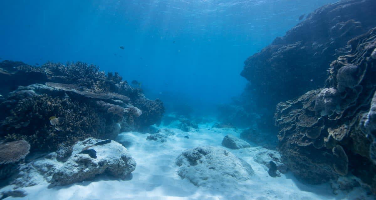 pn/afcb d d  fbecfddea