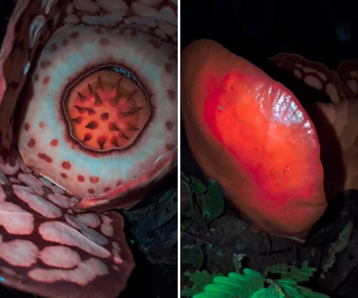 pn/a f d efe cdbdeab