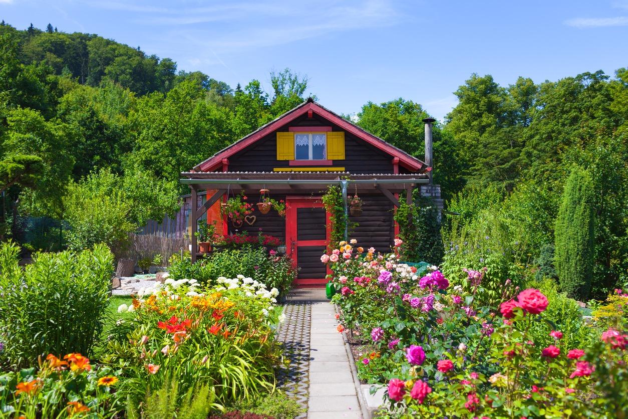 Colorful cottage-style garden in front of small cabin