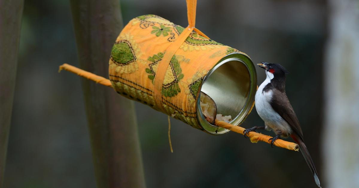 Diy Bird Feeder To Make With Kids