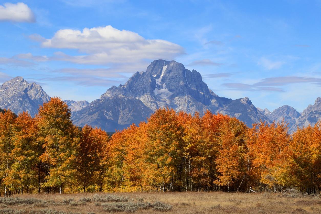 Fall in the Tetons