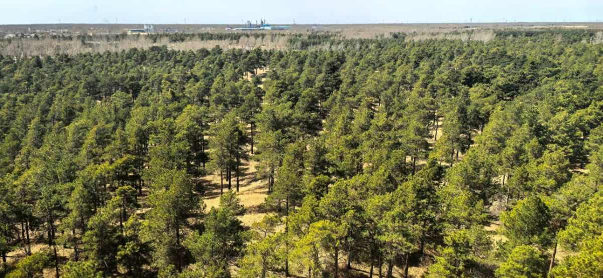 pn/adbad ec c bbe cdcd