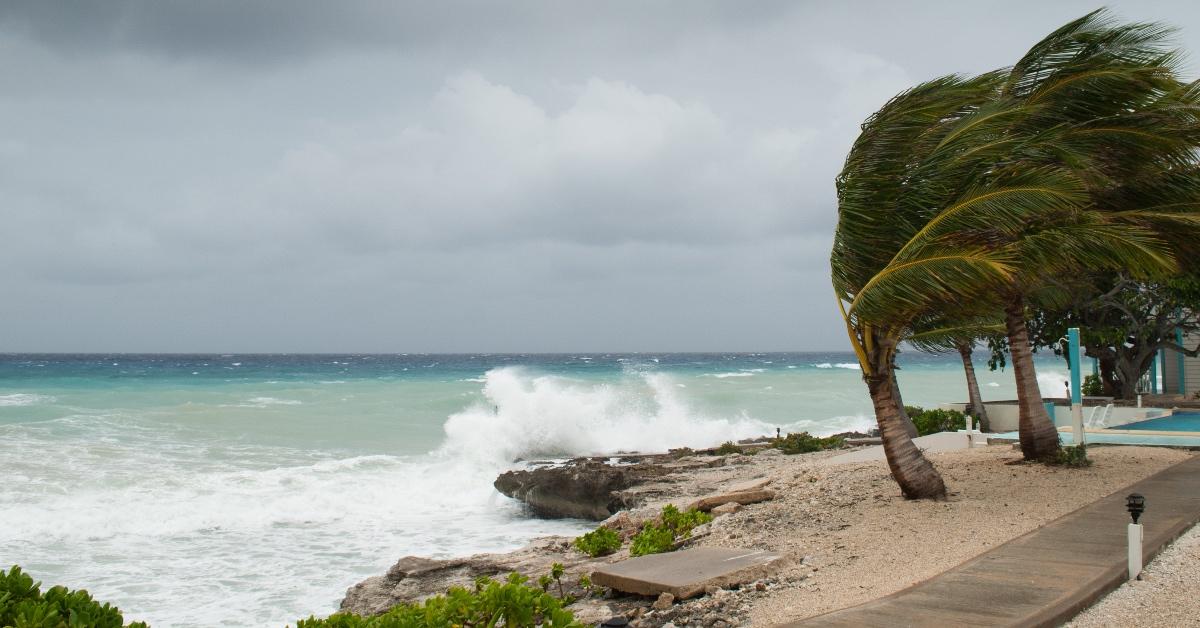 House next to the ocean with trees blowing in the wind.