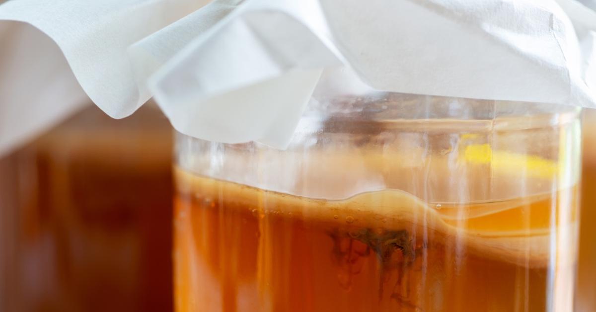 Close up photograph of a kombucha scoby. 